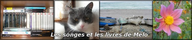 bannière blog 1 png - Copie