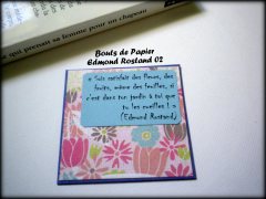 1275201_495935207163614_2000027478_o