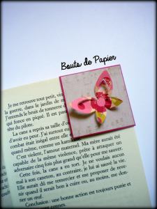 10322719_645756535514813_5483512892399796045_n